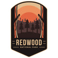 REDWOOD