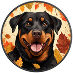 ROTTWEILER AUTUMN BLACK CARBON FIBER TIRE COVER