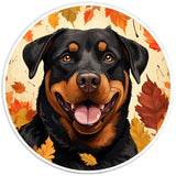 ROTTWEILER AUTUMN PEARL  WHITE CARBON FIBER TIRE COVER