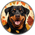 ROTTWEILER AUTUMN SILVER CARBON FIBER TIRE COVER