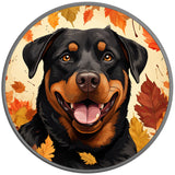 ROTTWEILER AUTUMN SILVER CARBON FIBER TIRE COVER