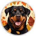 Rottweiler Autumn