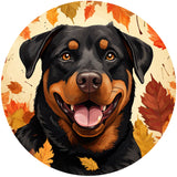 ROTTWEILER AUTUMN