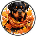 ROTTWEILER FALL BLACK CARBON FIBER TIRE COVER