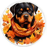 ROTTWEILER FALL PEARL  WHITE CARBON FIBER TIRE COVER