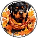 ROTTWEILER FALL SILVER CARBON FIBER TIRE COVER