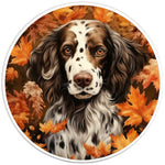 SPRINGER SPANIEL FALL PEARL  WHITE CARBON FIBER TIRE COVER