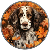 SPRINGER SPANIEL FALL SILVER CARBON FIBER TIRE COVER