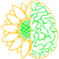SUNFLOWER BRAIN