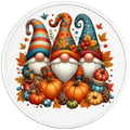 THANKSGIVING GNOMES PEARL  WHITE CARBON FIBER TIRE COVER
