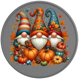 THANKSGIVING GNOMES SILVER CARBON FIBER TIRE COVER