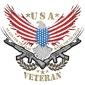 USA FLAG BALD EAGLE