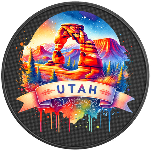 UTAH BLACK CARBON FIBER TIRE COVER