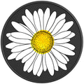 WHITE DAISY PEARL  WHITE CARBON FIBER TIRE COVER