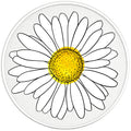 WHITE DAISY PEARL  WHITE CARBON FIBER TIRE COVER