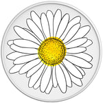 WHITE DAISY