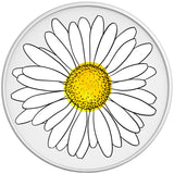 WHITE DAISY