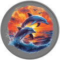 WILD DOLPHINS SILVER CARBON FIBER TIRE COVER