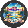 WYOMING PEARL  WHITE CARBON FIBER TIRE COVER