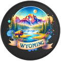 WYOMING BLACK TIRE COVER