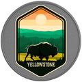 YELLOWSTONE NATIONAL PARK SILVER CARBON FIBER TIRE COVER