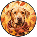 Yellow Labrador Fall