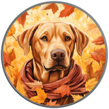 YELLOW LABRADOR FALL SILVER CARBON FIBER TIRE COVER