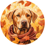 YELLOW LABRADOR FALL