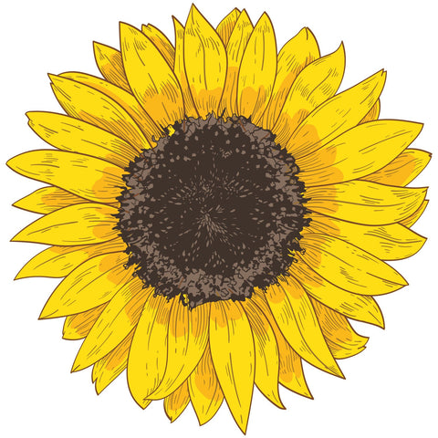 YELLOW SUNFLOWER