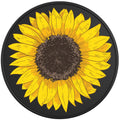 Yellow Sunflower