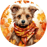 YORKIE FALL