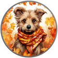 Yorkie Fall