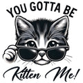 YOU GOTTA BE KITTEN ME