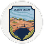 CARLSBAD CAVERNS NATIONAL PARK SILVER CARBON FIBER TIRE COVER 