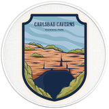 CARLSBAD CAVERNS NATIONAL PARK SILVER CARBON FIBER TIRE COVER 