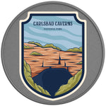 CARLSBAD CAVERNS NATIONAL PARK PEARL WHITE CARBON FIBER TIRE COVER 