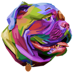 COLORFUL BULLDOG