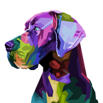 COLORFUL GREAT DANE