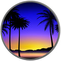 COLORFUL VIBRANT SUNSET SILVER CARBON FIBER TIRE COVER