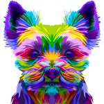 COLORFUL YORKSHIRE TERRIER