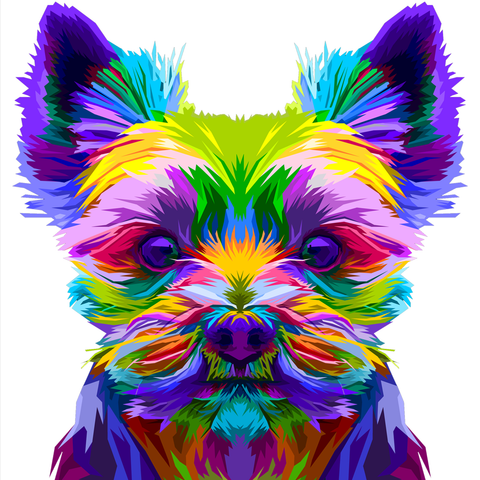 COLORFUL YORKSHIRE TERRIER