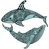 ENTANGLED WHALE AND SHARK