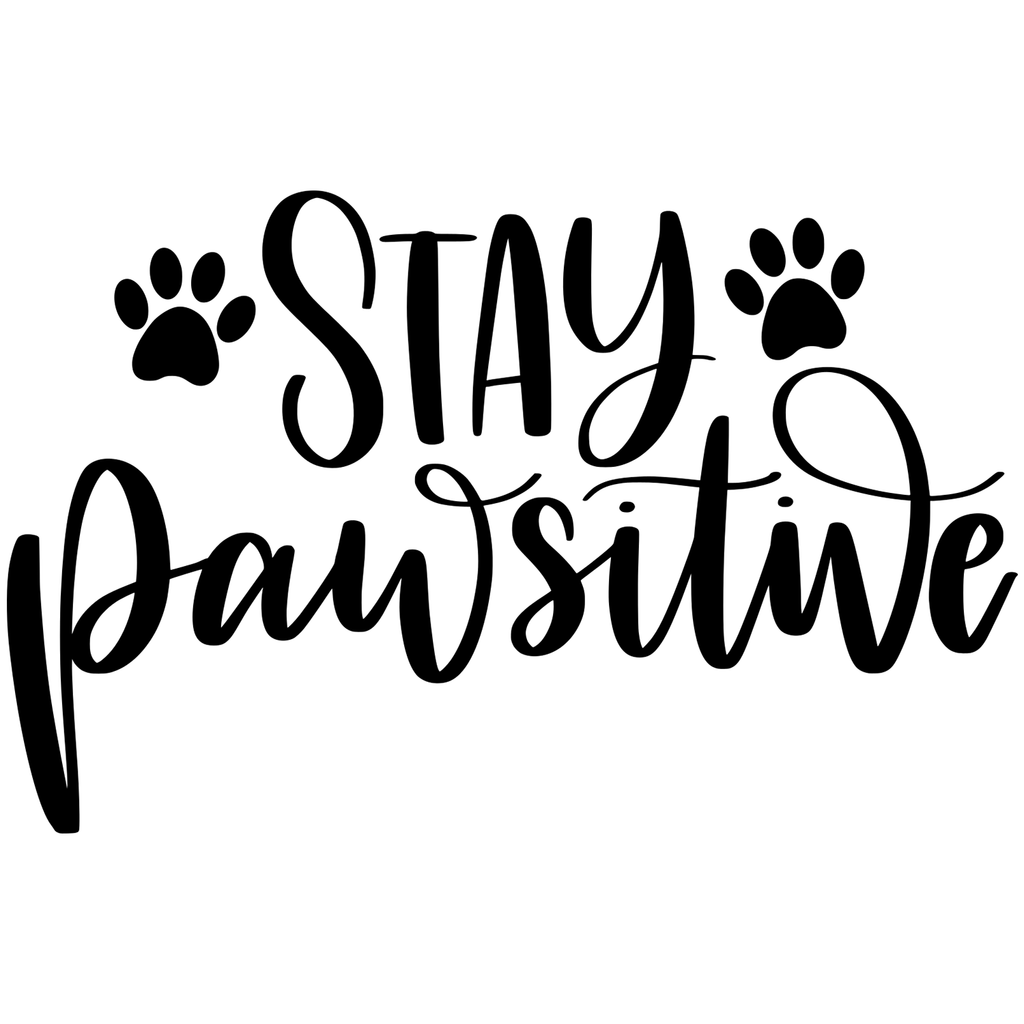 STAY PAWSITIVE