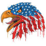 UNITED STATES AMERICAN EAGLE